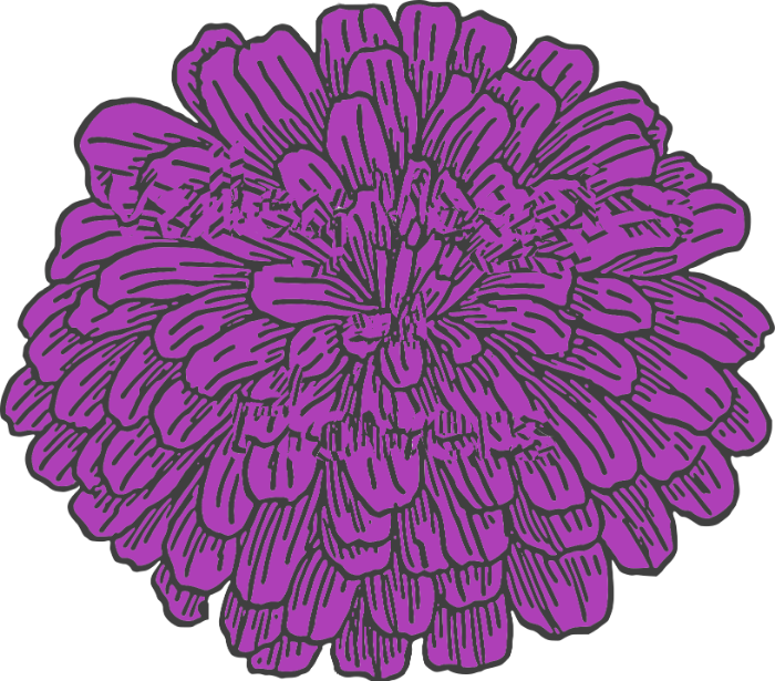 Valley Veggies & Flowers